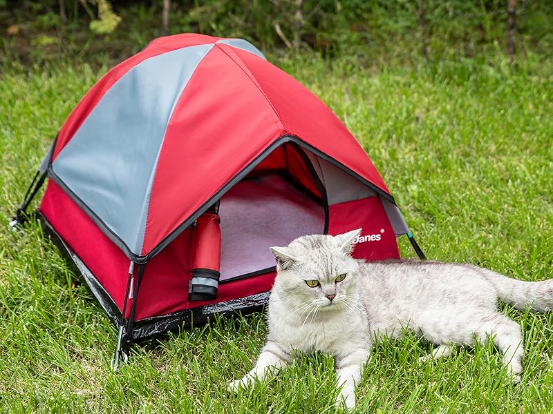 red cat tent
