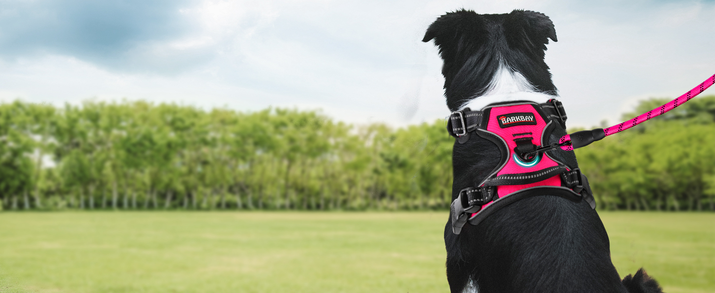 harness ruffwear harness dog harness medium harness for small dogs harness dog