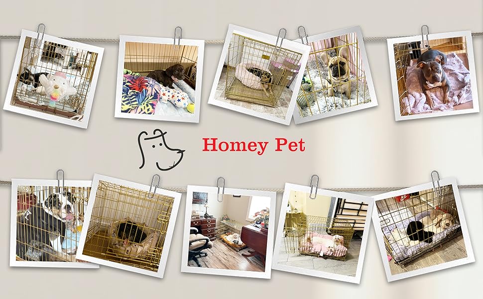 Gold Collapsible Dog Crate