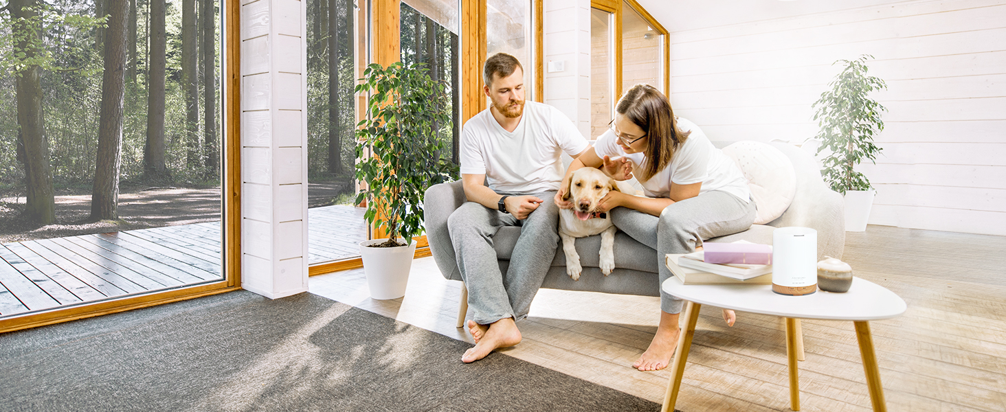 Ultrasonic Cool Mist Aromatherapy Vaporizer Fragrant Humidifier