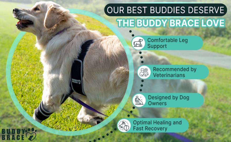 Buddy Brace Dog Knee Brace, Dog Leg Brace, Dog Acl Brace