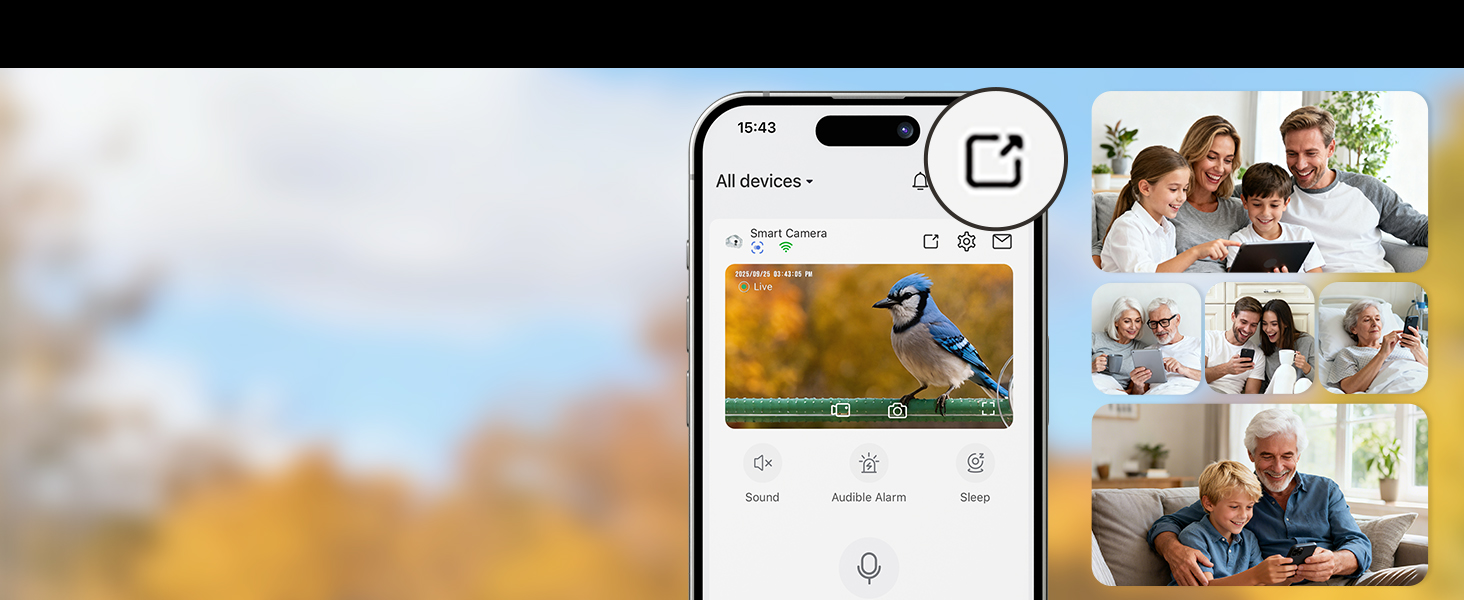 bird feeder for window、bird watching gifts、no mess bird feeder、small bird feeder、window bird feeders