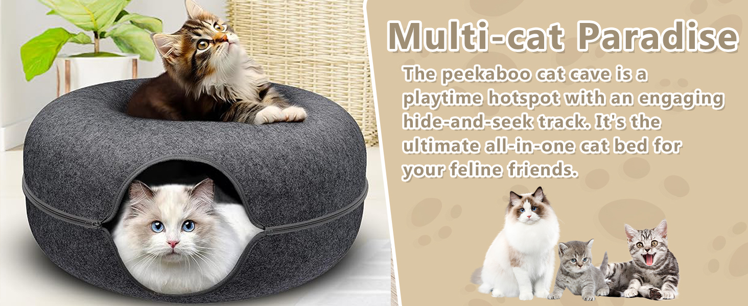 Multi-cat Paradise/Happy Playing