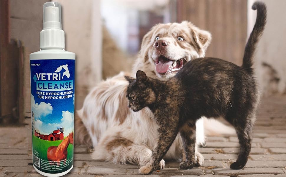 VetriCleanse for dogs and cats