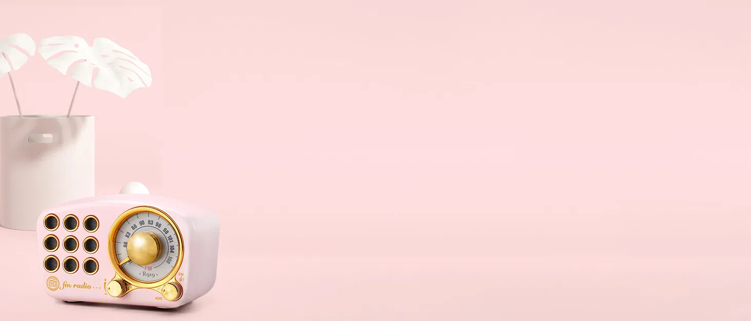 Portable AM FM Radio