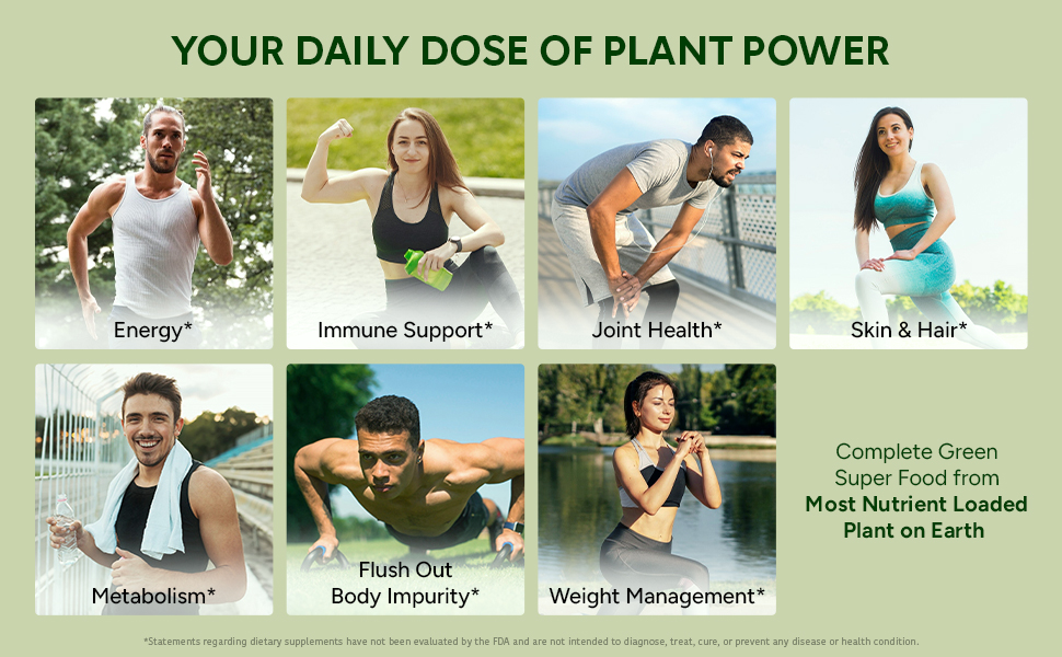 Premium Moringa Capsules with Black Pepper. Moringa Oleifera Powder