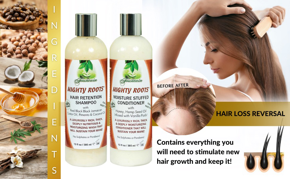 Fountain Mighty Roots Jamaican Pimento Black Castor Oil Shampoo Conditioner Receding Hairline Combo