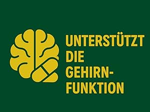gehirn funktion