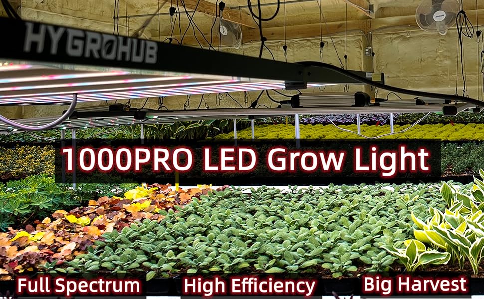 LED Grow Light 1000W 4x6ft Full Spectrum Growing Bulb with
