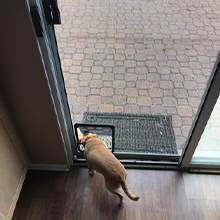Pet Screen Door Cat,Doggy Sliding Door