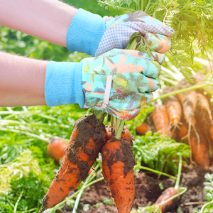 garden gloves