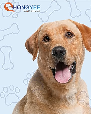 Omega-3 Fish Oil Liquid Supplement for Dogs, Skin and Coat Health