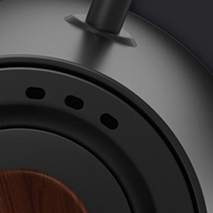 electric gooseneck kettle