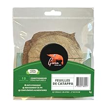 Optimize your shrimp food regime. Gioiashrimp Lollies bring nourishment & enjoyment.