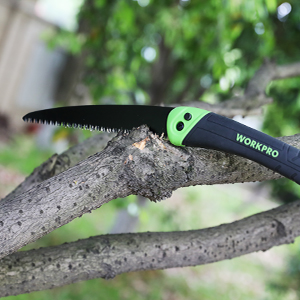 Pruning Saws