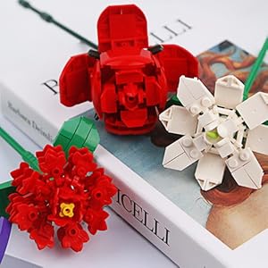 Vivid Colors & Elegant Designs