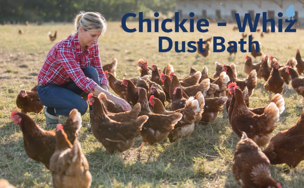 Chickie Whiz Chicken Dust Bath by Billy Buckskin Co