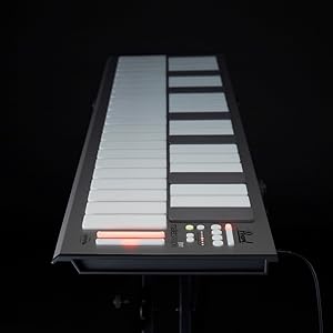 Amazon.co.jp: Pearl パール マレットステーション