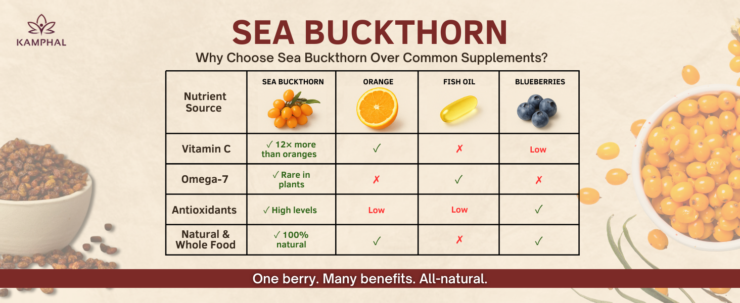 Dried Sea Buckthorn Berries Packed with Antioxidants