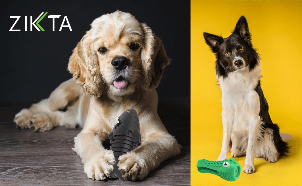 ZIKKTA Dog Toys, Squeaky Dog Chews. Natural Rubber Toothbrush. Pet Dental Care & Plaque Removal for Small to Large Dogs 11 Dog Toys, Football - Small Large puppy playing with Gift football grab tabs. Outdoor toy for boredom