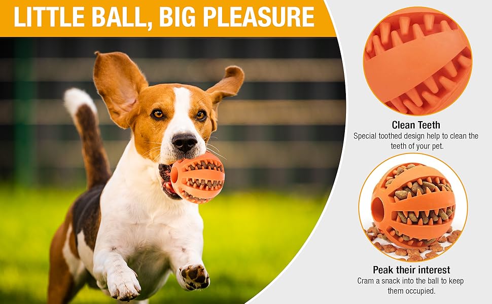 Text reads 'LITTLE BALL, BIG PLEASURE', 'Clean Teeth', 'Peak their interest'. Advertisement features orange rubber ball toy for dogs with ridged texture design, shown with dog playing.