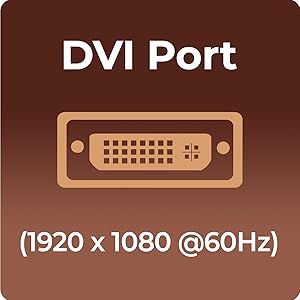 Foxin_Graphics_Card - DVI Port