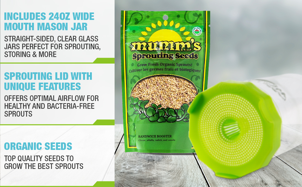 Masontops Mason Jar Bean Sprouting Starter Set Easy DIY