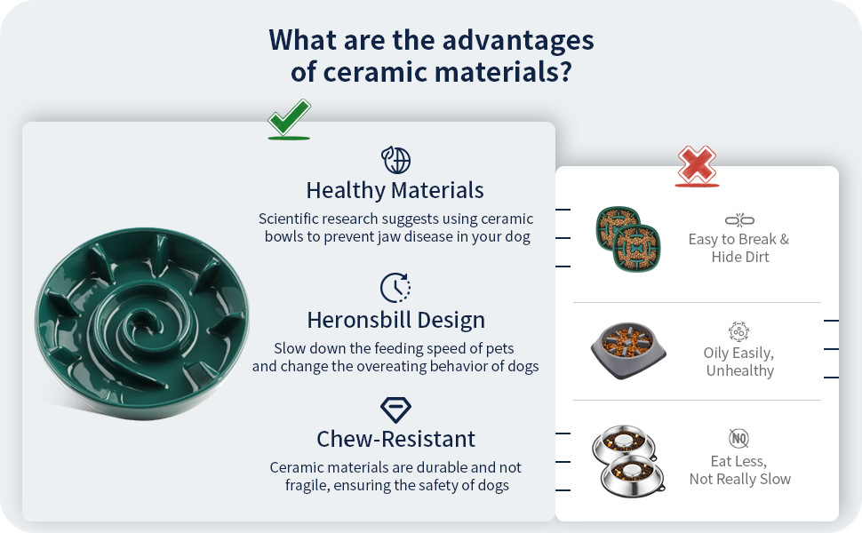 Slow Feeder Dog Bowl