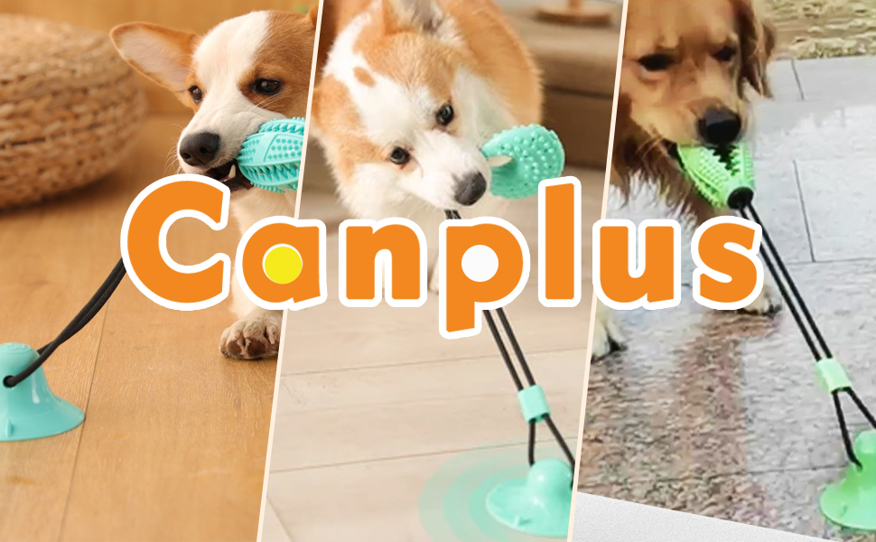 Amazon | Canplus 犬 噛むおもちゃ 犬のおもちゃのロープで吸盤