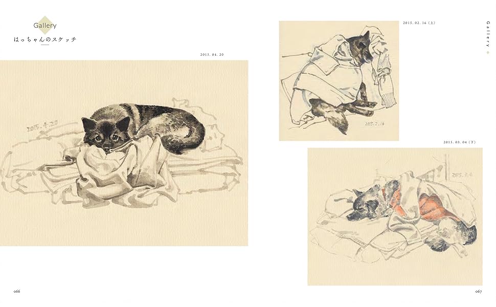 あっきゅ様オーダー品　もりのくまさん　パペット　オオカミ 楽天市場】【大特価】 チーター QY-202 狩猟豹 幼獣 14×25×H17