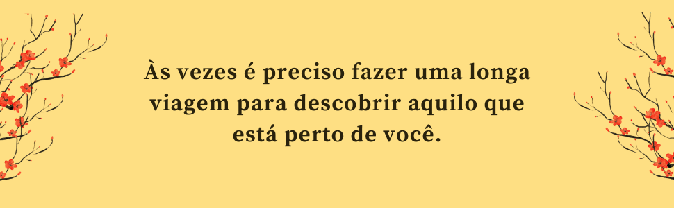 relatos de um gato viajante