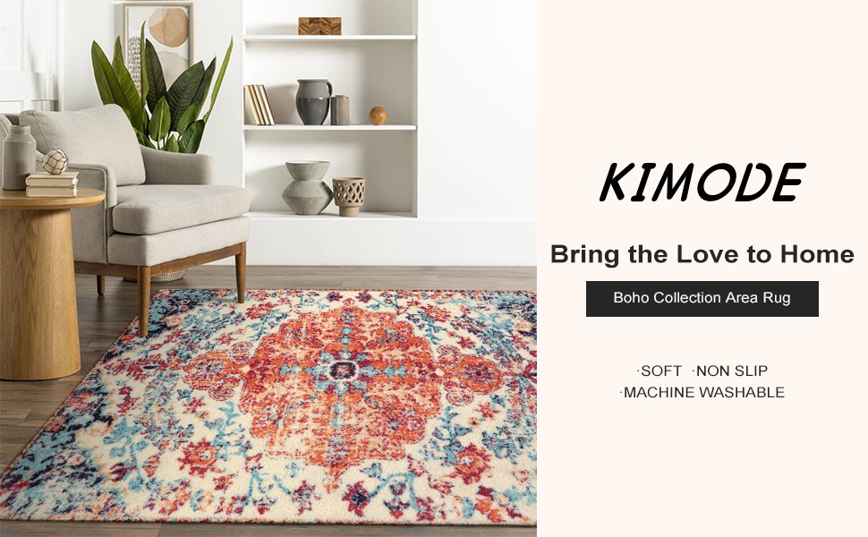 Small Indoor Area Rugs