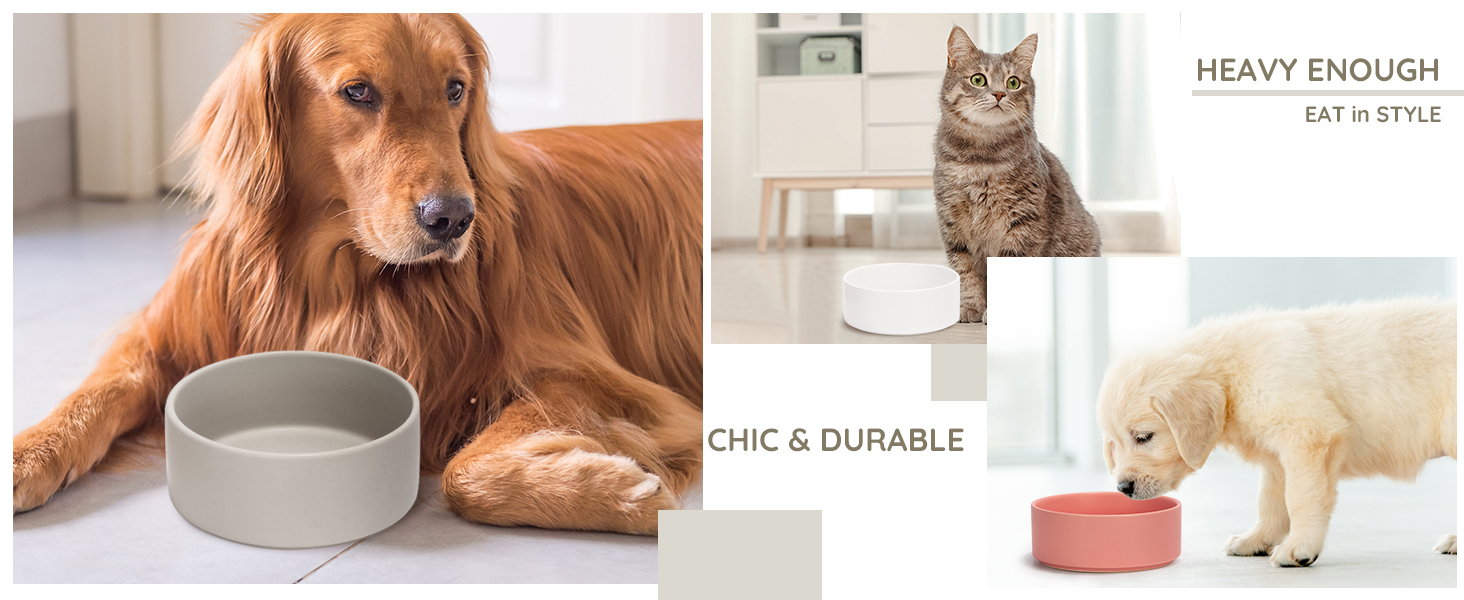 SPUNKYJUNKY Ceramic Dog and Cat Bowl Modern Cute Weighted Food Water Bowl for Replacement