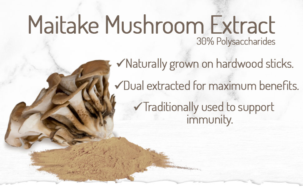 Maitake Mushroom Extract 100g Powder 30 Polysaccharides Alcohol