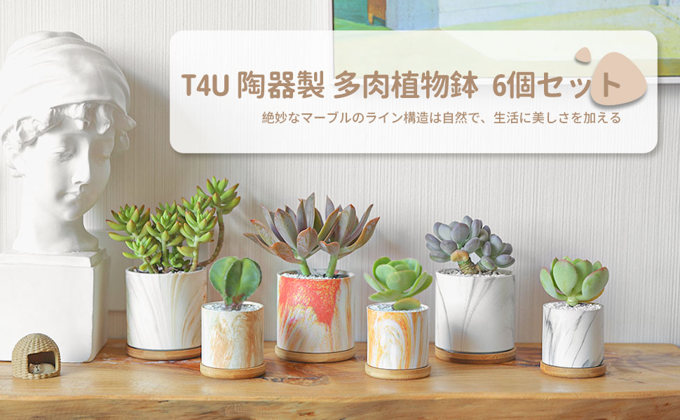 陶器製 マーブル模様 ミニ植物適用 2号鉢 4点入り 植木鉢 多肉植物鉢 Amazon.co.jp: 植木鉢 多肉植物鉢 陶器製 マーブル模様 ミニ植物