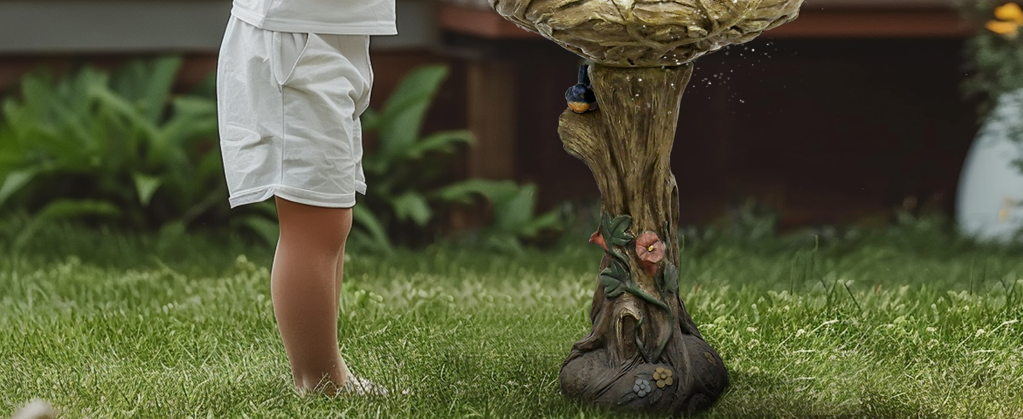 Bird Bath