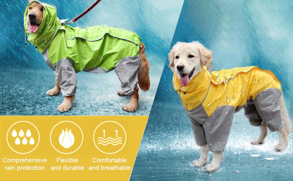 Raincoat for dogs