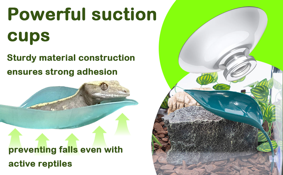 Powerful suction cups