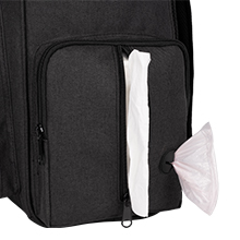 backpack for dog travel