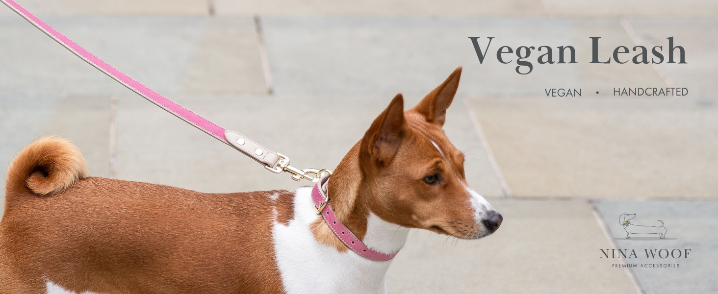 Vegan leash 