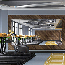 14"x12" Home Gym Mirror Wall-Mounted Gla... 12 gym mirror