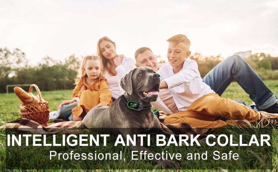 Anti Barking Dog Collars