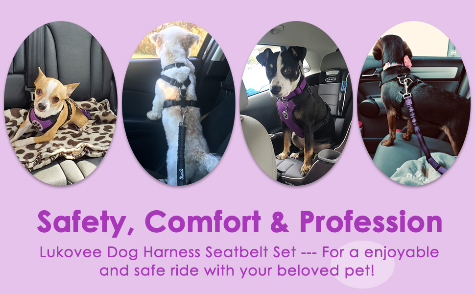 Lukovee Dog Safety Vest Harness with Seatbelt, Dog Car Harness Seat