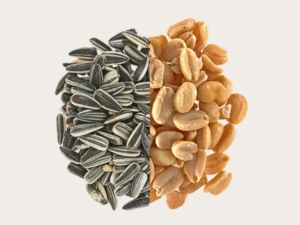 Wintervogelfutter, Sonnenblumenkerne, Fettfutter, Wildvogelstation, Vogelhäuschen, Futtersäule