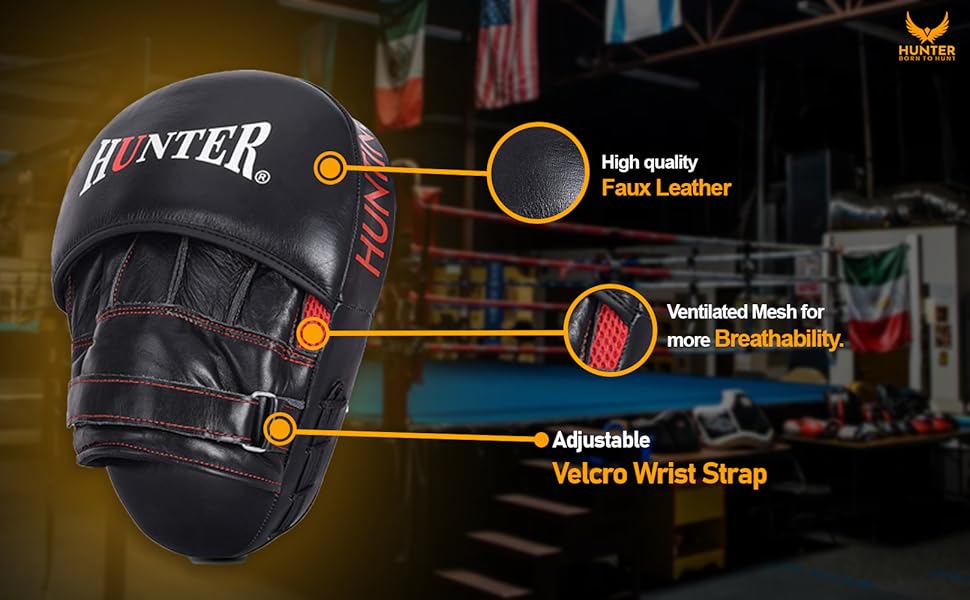 Punching Mitts 