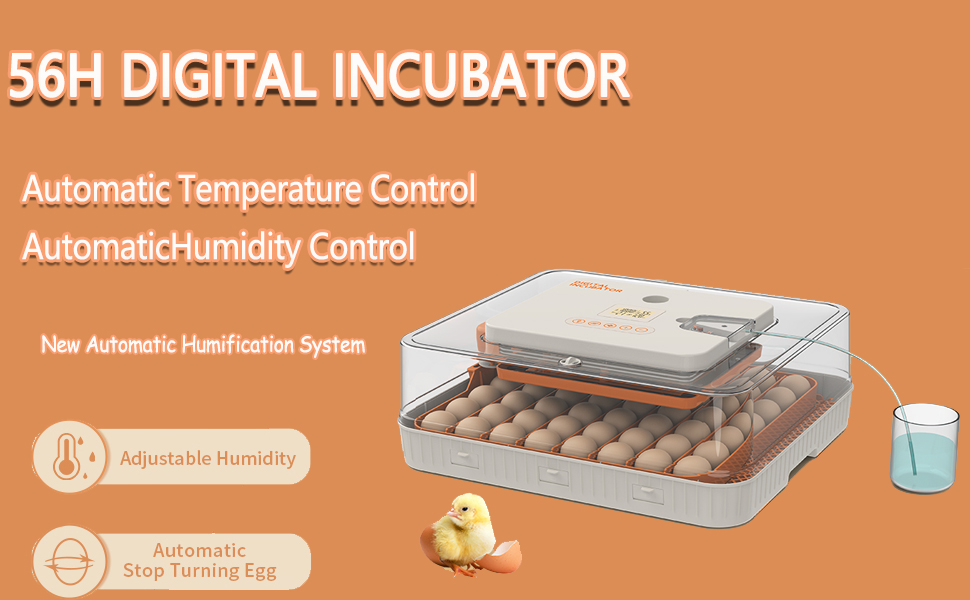 incubators for hatching eggs