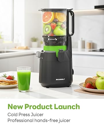 Cold Press Juicer