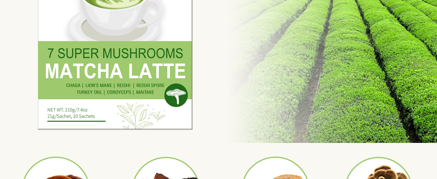 Large manufacture image 2