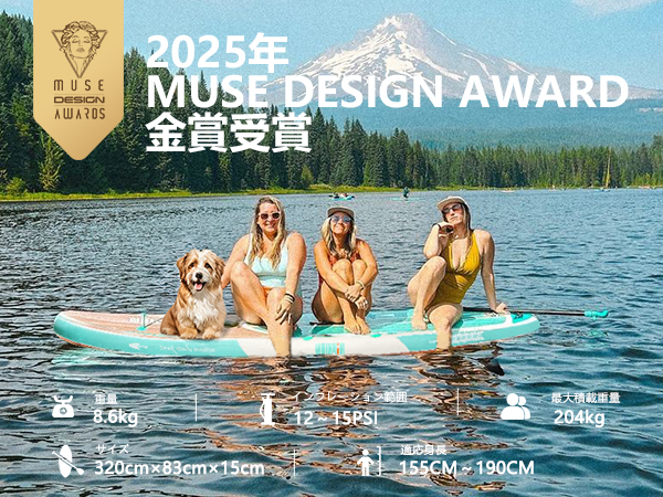 【新品】Niphean サップボード SUPセット 320cm アクセサリー付き Amazon | Niphean サップボード SUP ボード セット サップ 釣り