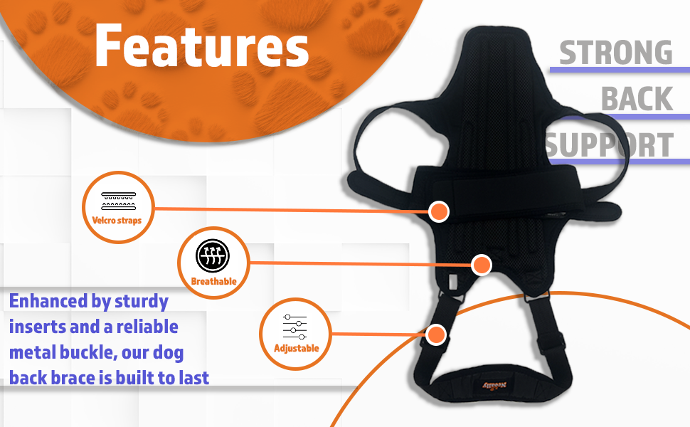 NeoAlly Dog Back Brace for Dogs Arthritis, IVDD, Spinal
